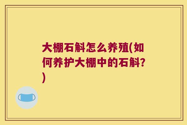 大棚石斛怎么养殖(如何养护大棚中的石斛？)