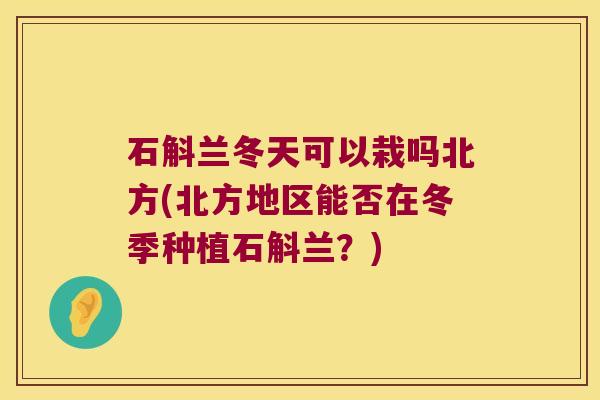 石斛兰冬天可以栽吗北方(北方地区能否在冬季种植石斛兰？)
