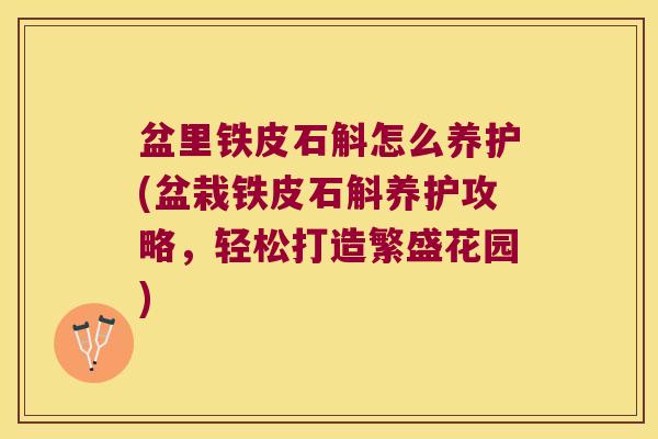 盆里铁皮石斛怎么养护(盆栽铁皮石斛养护攻略，轻松打造繁盛花园)