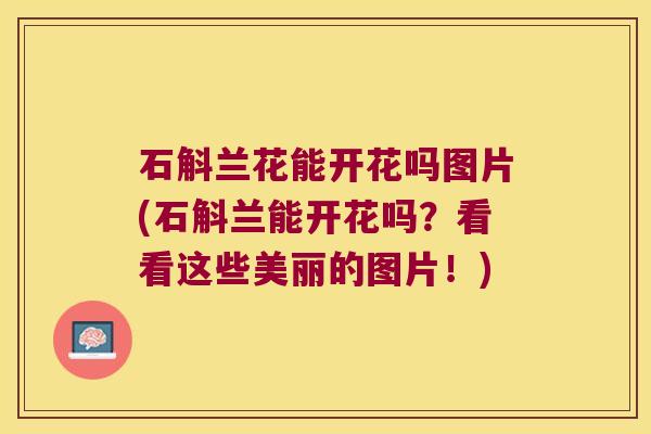 石斛兰花能开花吗图片(石斛兰能开花吗？看看这些美丽的图片！)