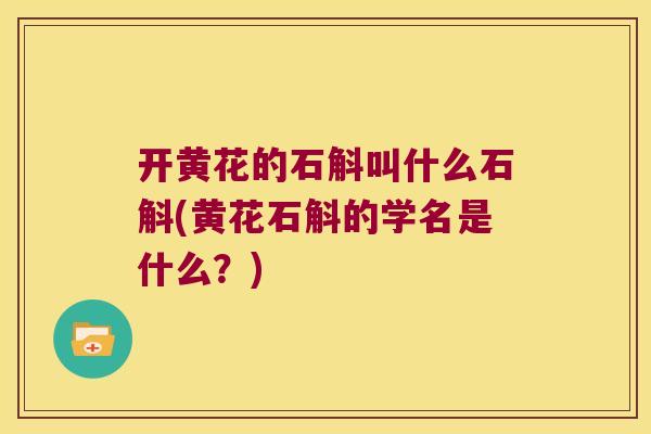 开黄花的石斛叫什么石斛(黄花石斛的学名是什么？)