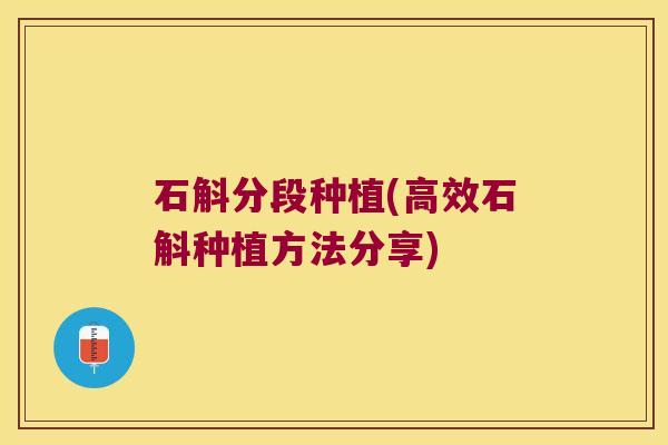 石斛分段种植(高效石斛种植方法分享)
