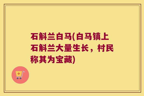 石斛兰白马(白马镇上石斛兰大量生长，村民称其为宝藏)