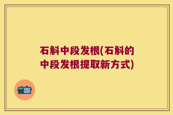 石斛中段发根(石斛的中段发根提取新方式)
