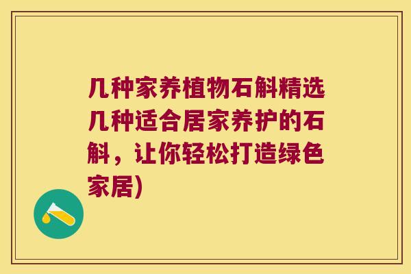 几种家养植物石斛精选几种适合居家养护的石斛，让你轻松打造绿色家居)