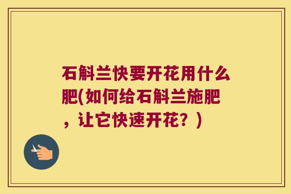 石斛兰快要开花用什么肥(如何给石斛兰施肥，让它快速开花？)