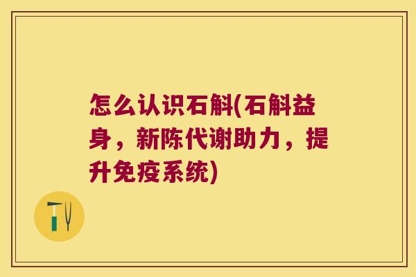 怎么认识石斛(石斛益身，新陈代谢助力，提升免疫系统)