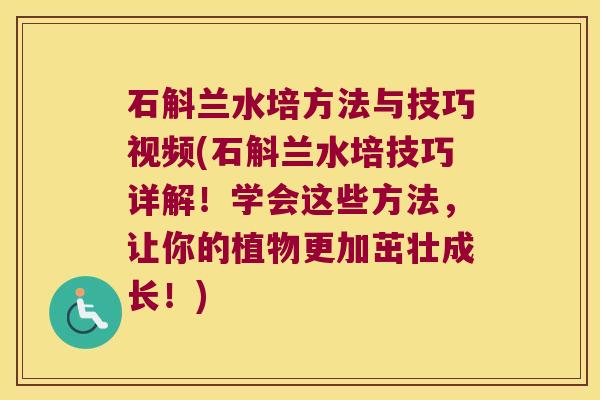 石斛兰水培方法与技巧视频(石斛兰水培技巧详解！学会这些方法，让你的植物更加茁壮成长！)