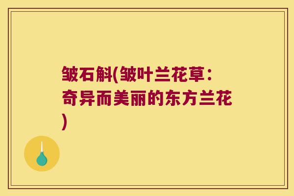 皱石斛(皱叶兰花草：奇异而美丽的东方兰花)
