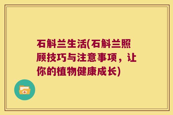 石斛兰生活(石斛兰照顾技巧与注意事项，让你的植物健康成长)