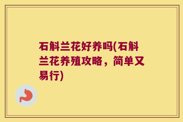 石斛兰花好养吗(石斛兰花养殖攻略，简单又易行)