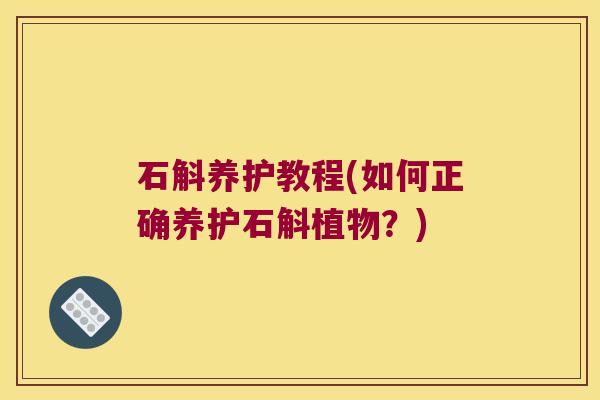 石斛养护教程(如何正确养护石斛植物？)