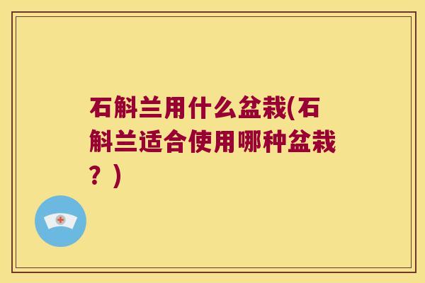 石斛兰用什么盆栽(石斛兰适合使用哪种盆栽？)
