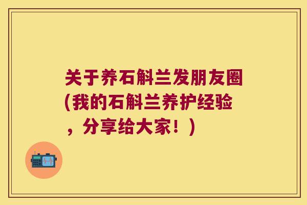关于养石斛兰发朋友圈(我的石斛兰养护经验，分享给大家！)