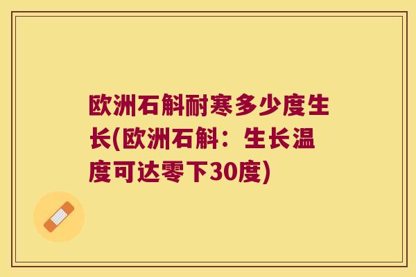 欧洲石斛耐寒多少度生长(欧洲石斛：生长温度可达零下30度)