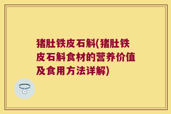 猪肚铁皮石斛(猪肚铁皮石斛食材的营养价值及食用方法详解)