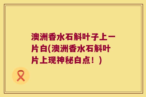 澳洲香水石斛叶子上一片白(澳洲香水石斛叶片上现神秘白点！)