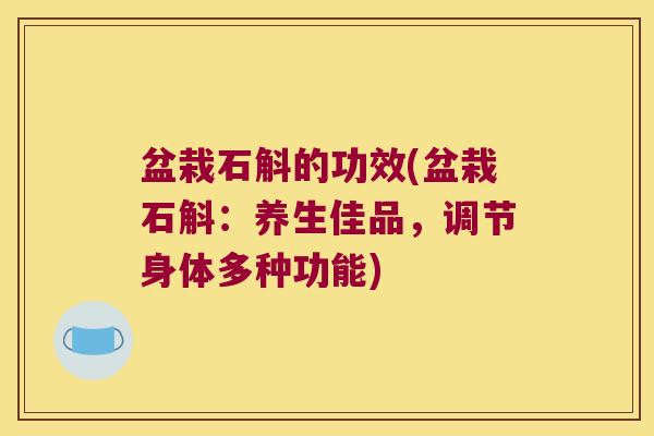 盆栽石斛的功效(盆栽石斛：养生佳品，调节身体多种功能)