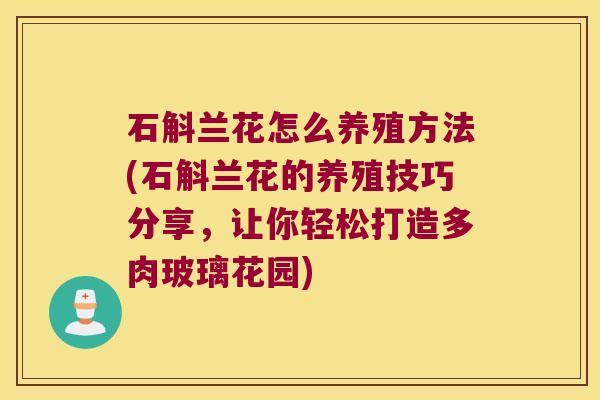 石斛兰花怎么养殖方法(石斛兰花的养殖技巧分享，让你轻松打造多肉玻璃花园)