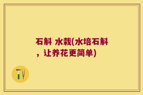 石斛 水栽(水培石斛，让养花更简单)