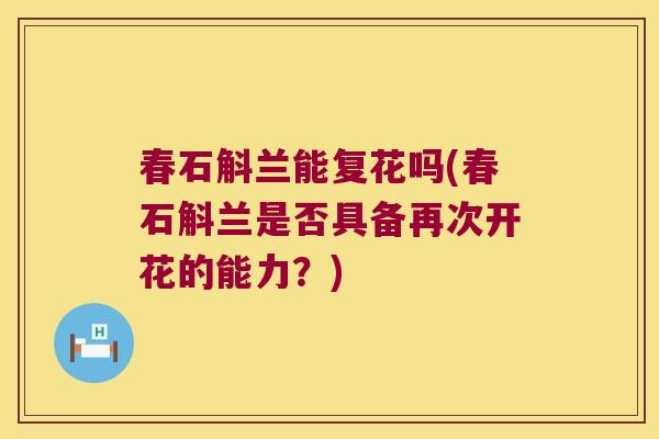春石斛兰能复花吗(春石斛兰是否具备再次开花的能力?) 春石斛兰能复花吗(春石斛兰是否具备再次开花的能力?)