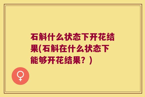 石斛什么状态下开花结果(石斛在什么状态下能够开花结果？)