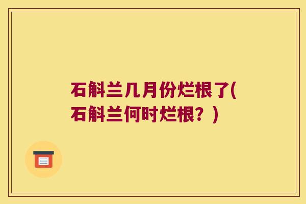 石斛兰几月份烂根了(石斛兰何时烂根？)