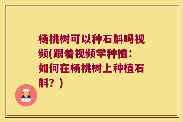 杨桃树可以种石斛吗视频(跟着视频学种植：如何在杨桃树上种植石斛？)