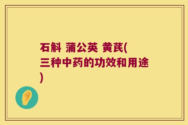 石斛 蒲公英 黄芪(三种中药的功效和用途)