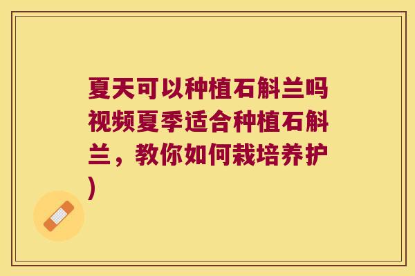 夏天可以种植石斛兰吗视频夏季适合种植石斛兰，教你如何栽培养护)