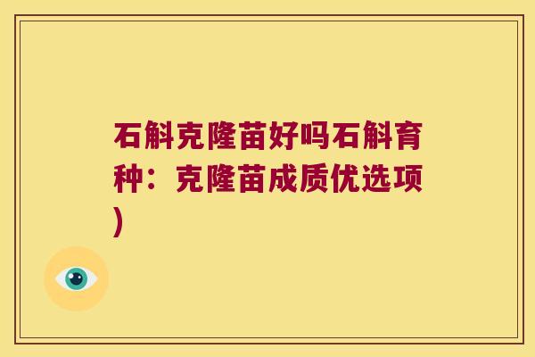 石斛克隆苗好吗石斛育种：克隆苗成质优选项)