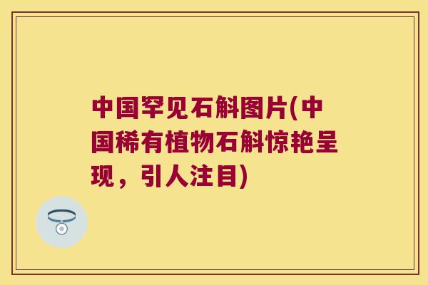 中国罕见石斛图片(中国稀有植物石斛惊艳呈现，引人注目)
