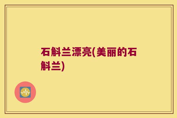 石斛兰漂亮(美丽的石斛兰) 石斛兰漂亮(美丽的石斛兰)