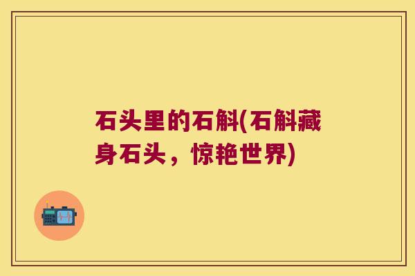 石头里的石斛(石斛藏身石头，惊艳世界)