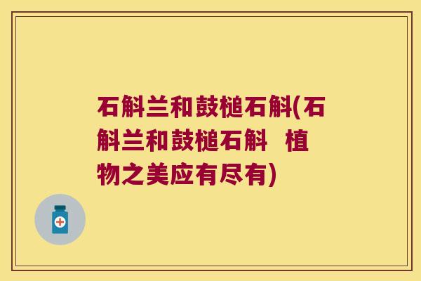 石斛兰和鼓槌石斛(石斛兰和鼓槌石斛 植物之美应有尽有) 石斛兰和鼓槌石斛(石斛兰和鼓槌石斛 植物之美应有尽有)