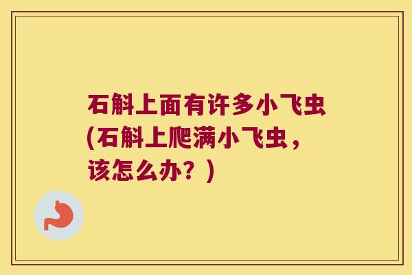 石斛上面有许多小飞虫(石斛上爬满小飞虫，该怎么办？)
