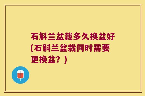 石斛兰盆栽多久换盆好(石斛兰盆栽何时需要更换盆？)