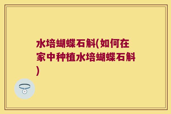 水培蝴蝶石斛(如何在家中种植水培蝴蝶石斛)
