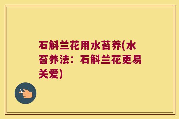 石斛兰花用水苔养(水苔养法：石斛兰花更易关爱)