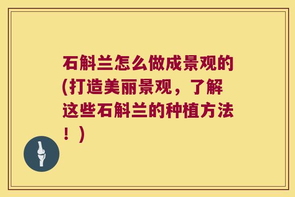 石斛兰怎么做成景观的(打造美丽景观，了解这些石斛兰的种植方法！)
