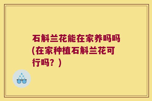 石斛兰花能在家养吗吗(在家种植石斛兰花可行吗？)