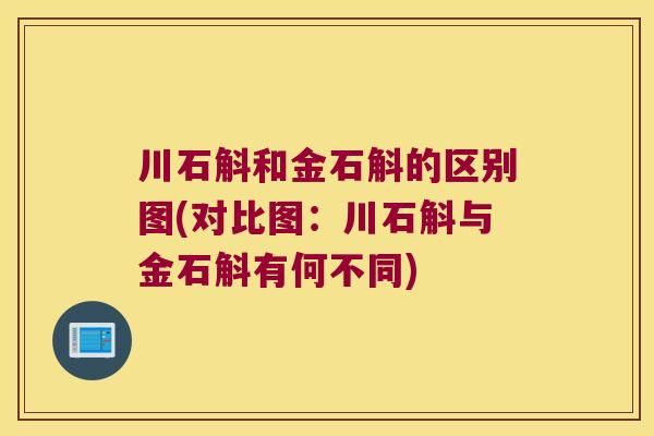 川石斛和金石斛的区别图(对比图：川石斛与金石斛有何不同)