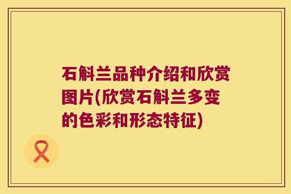 石斛兰品种介绍和欣赏图片(欣赏石斛兰多变的色彩和形态特征)