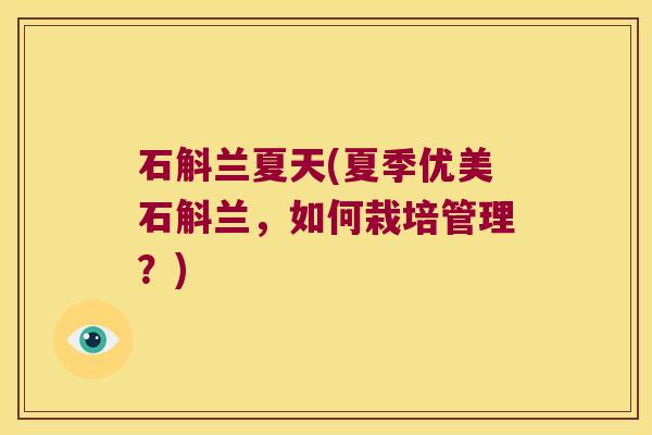 石斛兰夏天(夏季优美石斛兰，如何栽培管理？)