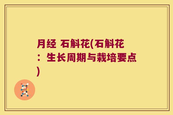  石斛花(石斛花：生长周期与栽培要点)