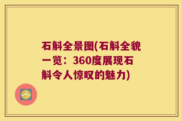 石斛全景图(石斛全貌一览：360度展现石斛令人惊叹的魅力)