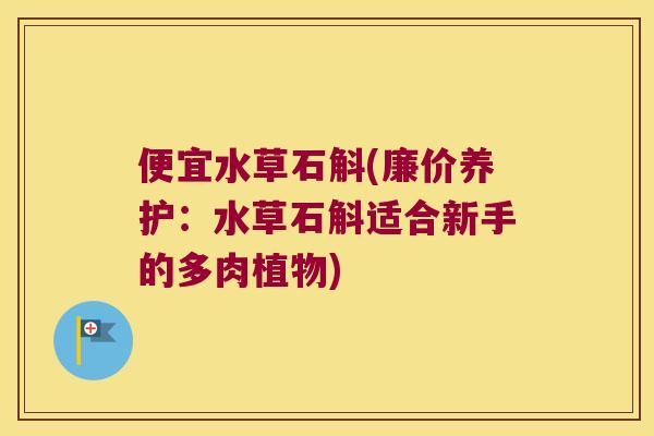 便宜水草石斛(廉价养护：水草石斛适合新手的多肉植物)
