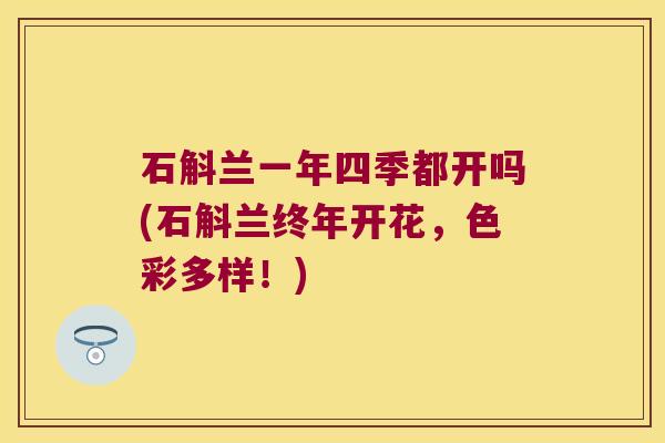 石斛兰一年四季都开吗(石斛兰终年开花，色彩多样！)