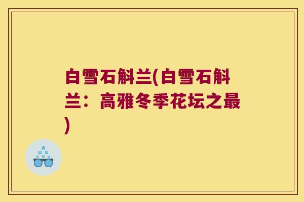 白雪石斛兰(白雪石斛兰：高雅冬季花坛之最)