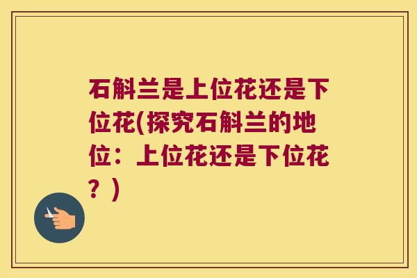 石斛兰是上位花还是下位花(探究石斛兰的地位:上位花还是下位花?) 石斛兰是上位花还是下位花(探究石斛兰的地位:上位花还是下位花?)